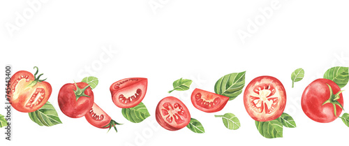 Horizontal seamless stripe border with tomato vegetables and green basil. hand drawn watercolor isolated on white background.