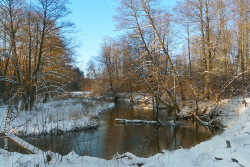 Winter forest landscape. View of the forest covered with snow during sunset. A river in the forest.
