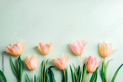 Fototapeta Naklejka Na Ścianę i Meble -  Peach tulips on light green background. Spring holidays concept. Top view, flat lay