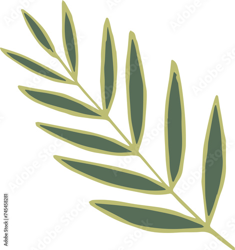 Olive branch, palm branch, laurel, willow, illustration on transparent, png