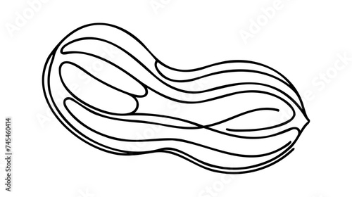 One single line drawing of whole healthy organic peanut for farm logo identity.