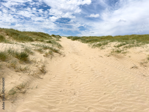 Landscape of sand dunes and plants under a blue sky at the beach in South Australia