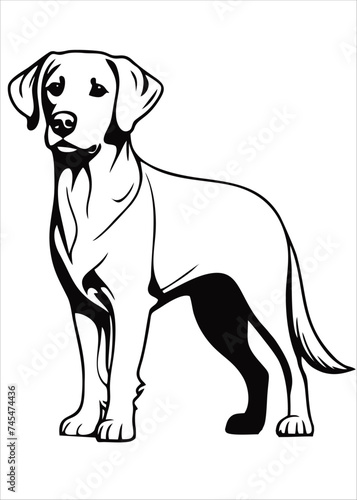 Dog hand drawn line style vector illustration isolated on white background