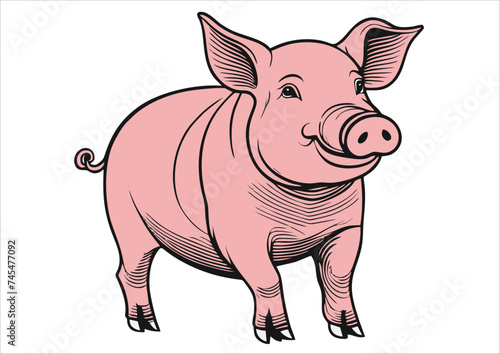  Vector illustration of fat pig isolated on white background. 