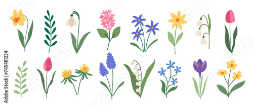 Spring flower set. Vector illustration