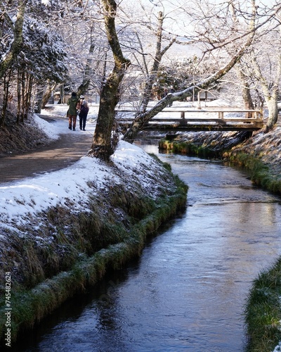 雪化粧に飾られた忍野村の銀色の景色　