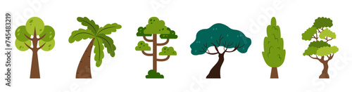 Set of Simple Tree Illustration. Simple tree collection illustration. Simple tree illustration.