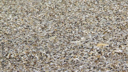 Wallpaper Mural Sand on the Beach, Sand Grains On A Beach. Close Up. Torontodigital.ca