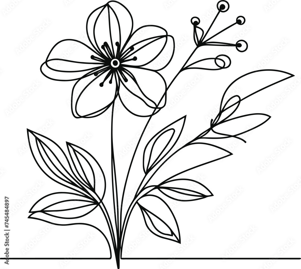 Hellebore flower in continuous line drawing minimalist style.