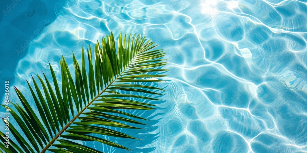 Serenity oasis: a majestic palm tree dancing in the center of a refreshing pool Serenity oasis: a majestic palm tree dancing in the center of a refreshing pool