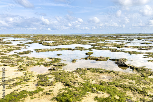 奄美大島　大瀬海岸