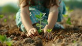 Young girl's hands planting seedlings in waste land, concept seedling of hope