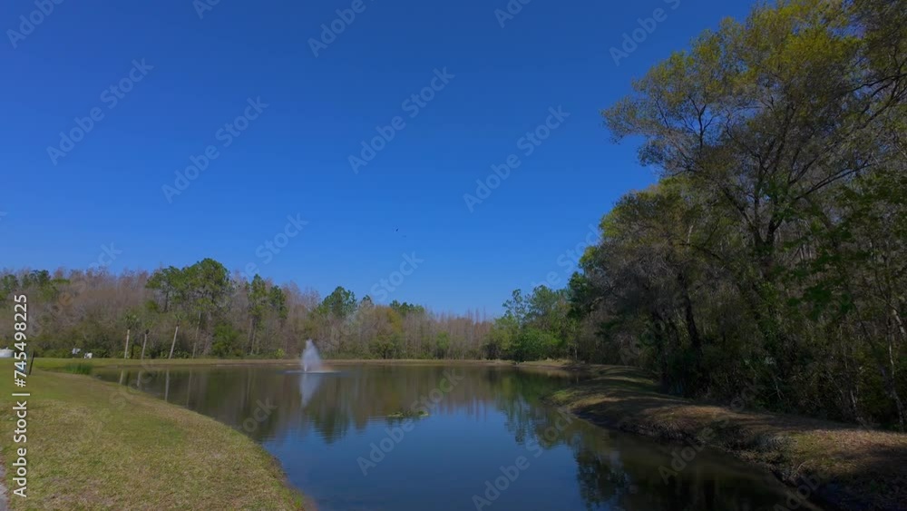 A Florida community pond in spring and animal A Florida community pond in spring and animal