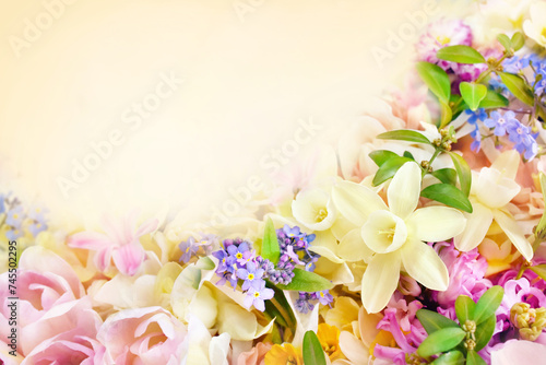 Fototapeta Naklejka Na Ścianę i Meble -  Blossoming white and light yellow daffodils, pink hyacinths and spring flowers festive background, bright springtime bouquet floral card, selective focus, shallow DOF	