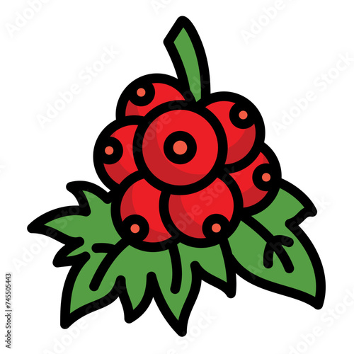 Berries Icon