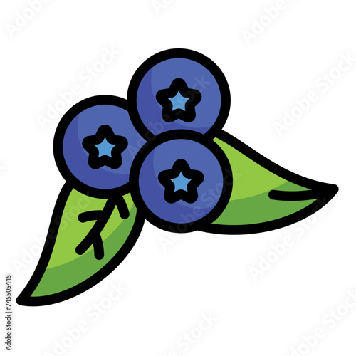 Blueberries Icon