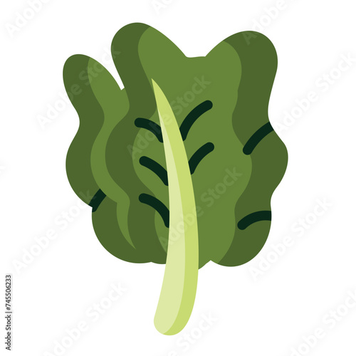 Kale Icon