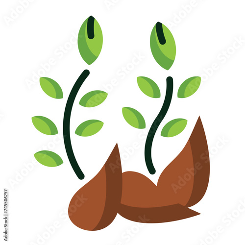 Seeds Icon