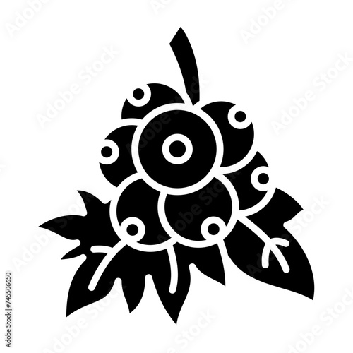 Berries Icon