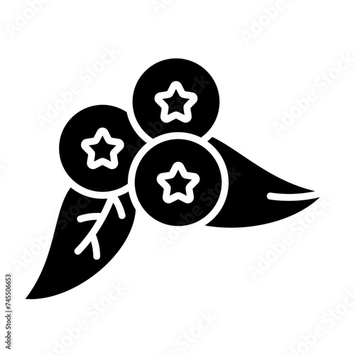 Blueberries Icon