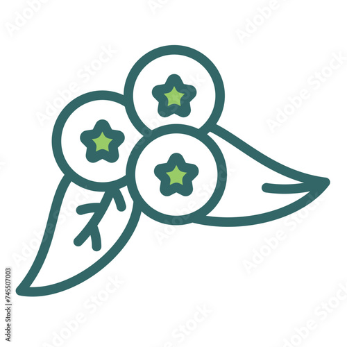 Blueberries Icon