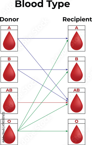Blood Type Science Design Vector Illustration Diagram