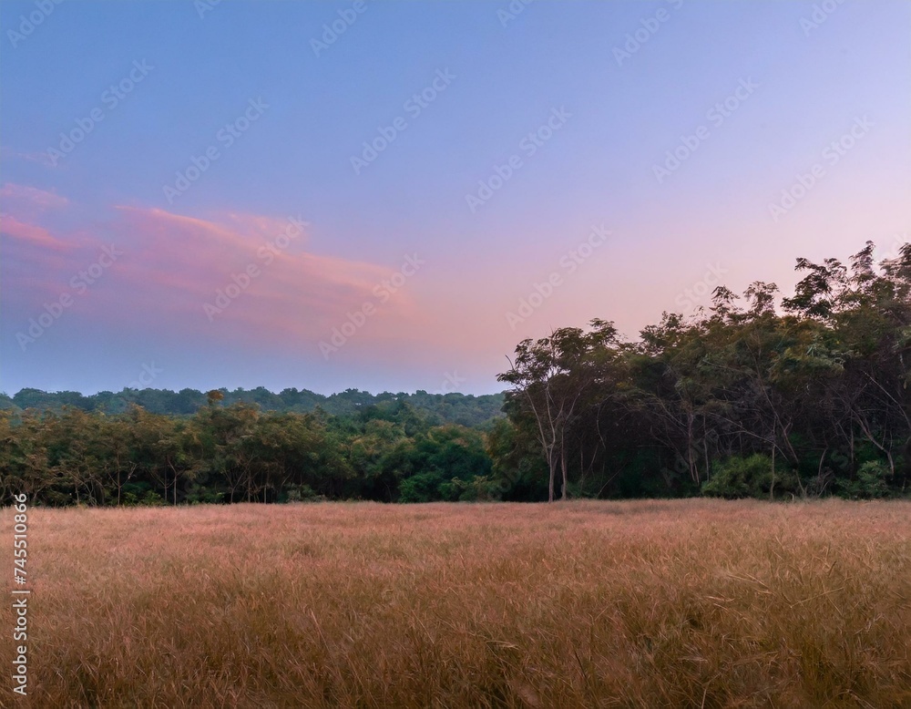 Capture the moment when the forest meets an open field. The sky blushes with pink and orange Capture the moment when the forest meets an open field. The sky blushes with pink and orange