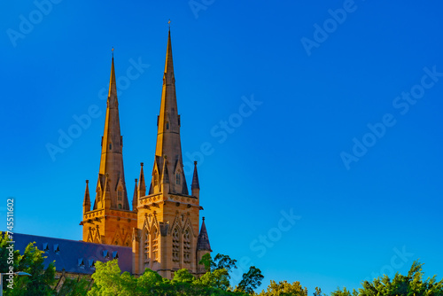 シドニーの大聖堂と自然