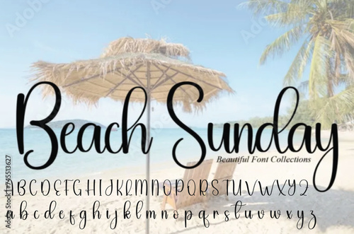 Bold and script alphabets. Vector font duo.