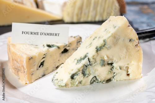 Cheese collection, piece of French blue cheese auvergne or fourme d'ambert