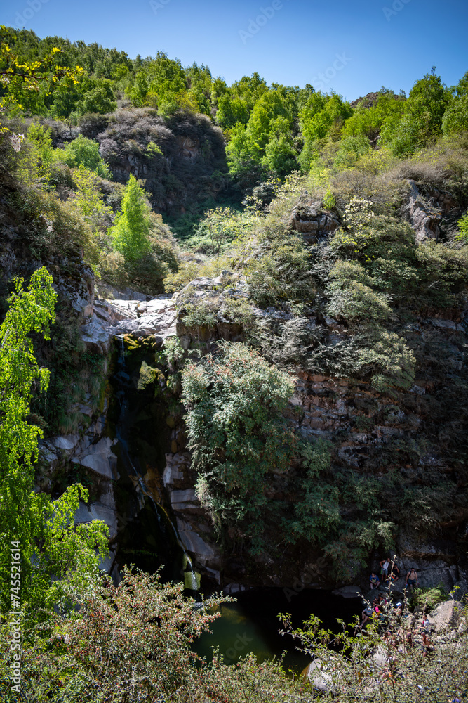Obraz premium waterfall in the forest