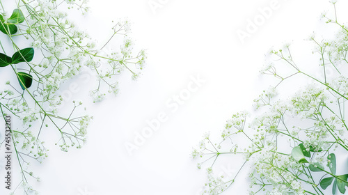 background with baby  breath flower