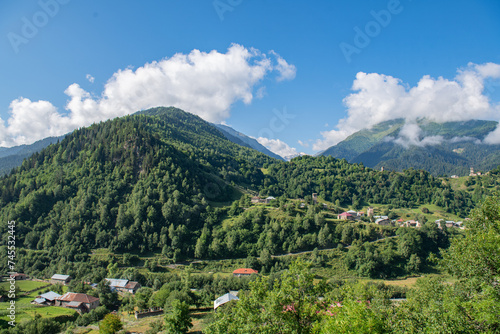 Enchanted Expanse: Green Mountains Surrounded by Boundless Blue