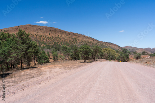Scenery along the Parachilna Gorge Road in the Flinders Ranges National Park photo