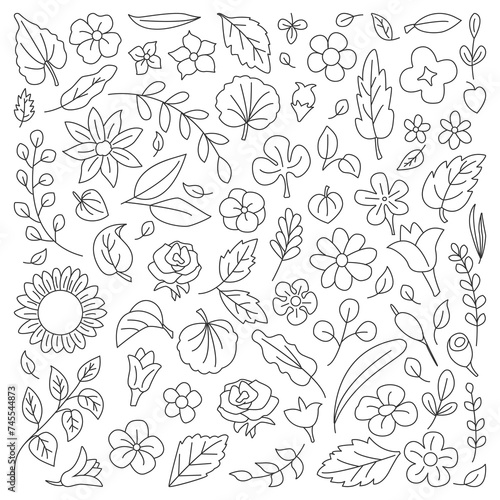 Foliage doodle hand drawn. Various leaves and flowers floral vector drawing