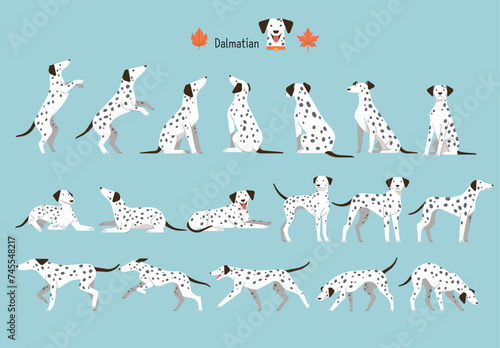 Dalmatian. dog position set. flat vector illustration.