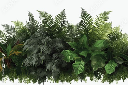 Tropical leaves foliage plant bush floral arrangement nature backdrop isolated on white background, clipping path included.