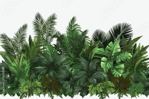 Tropical leaves foliage plant bush floral arrangement nature backdrop isolated on white background, clipping path included.