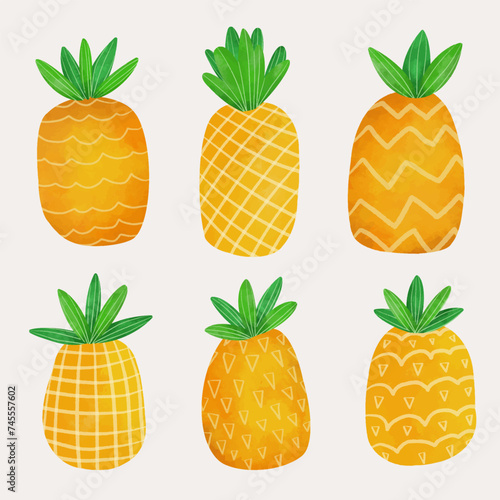 set of pineapple with different texture