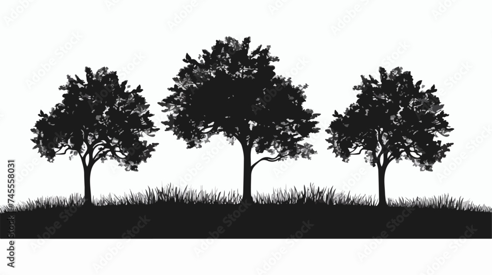 Three Tree Field Silhouette. Branch Trunk Foliage Im