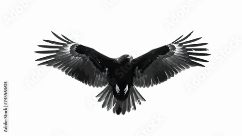 Wild Eagle Silhouette Isolated on White Background V