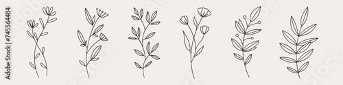 Hand drawn flower doodles. Hand drawn sketch of spring flower plant. Vector simple flower. #745564484