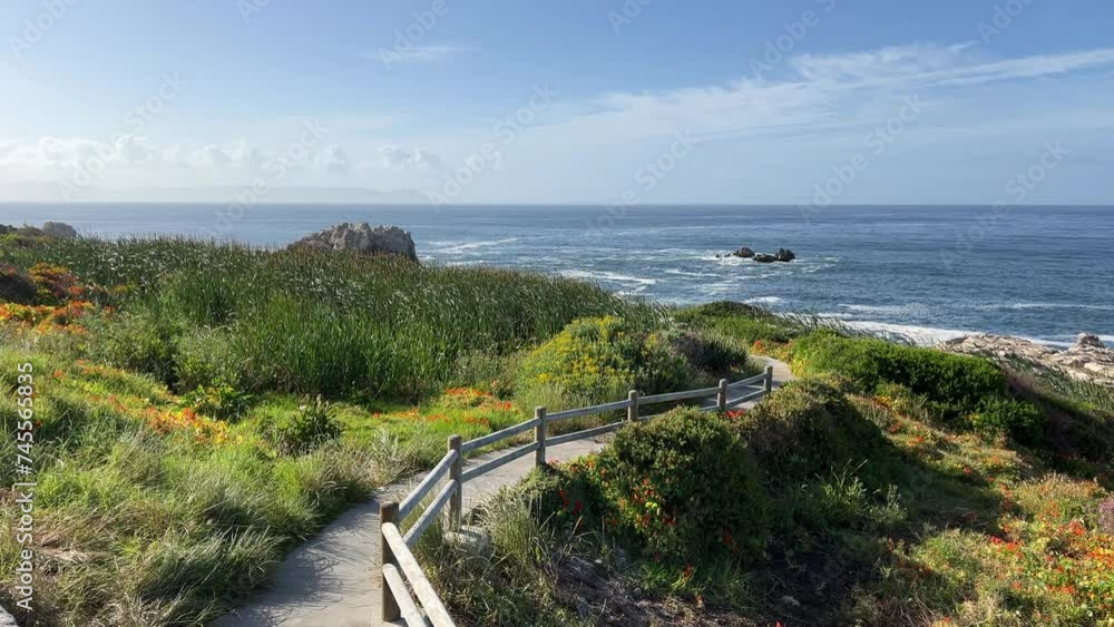 Beach boardwalk between the flowers along the whale coastline of Hermanus Beach boardwalk between the flowers along the whale coastline of Hermanus