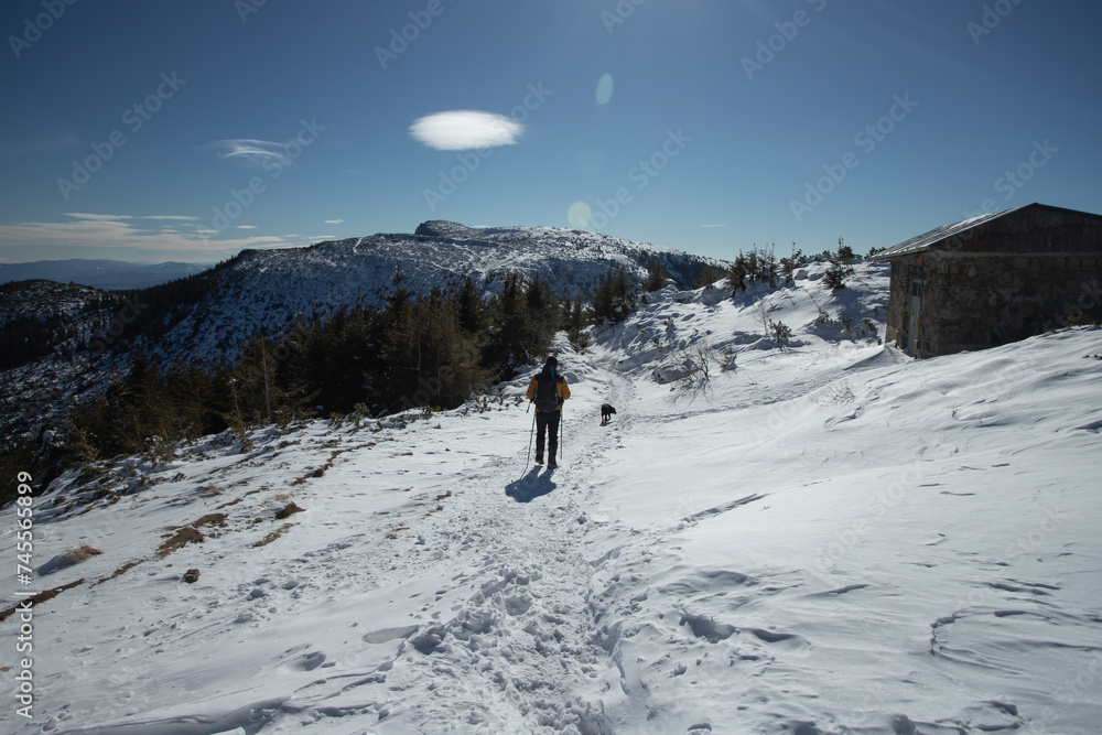 Hiker and his dog in a wintry mountain landscape