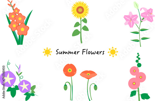夏の花のイラストセット