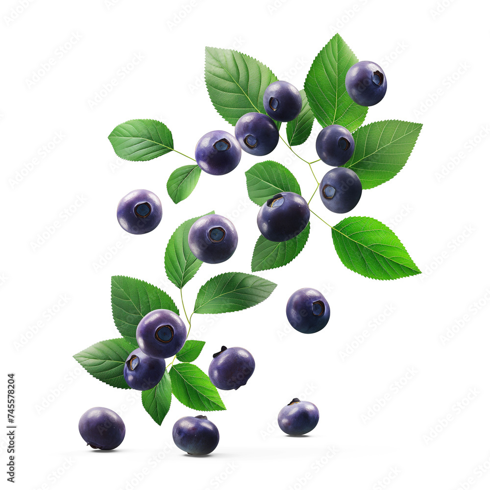 Ripe Blueberries falling in air with Blueberry leaves, Healthy organic berry natural ingredients concept, AI generated, PNG transparency with shadow Ripe Blueberries falling in air with Blueberry leaves, Healthy organic berry natural ingredients concept, AI generated, PNG transparency with shadow