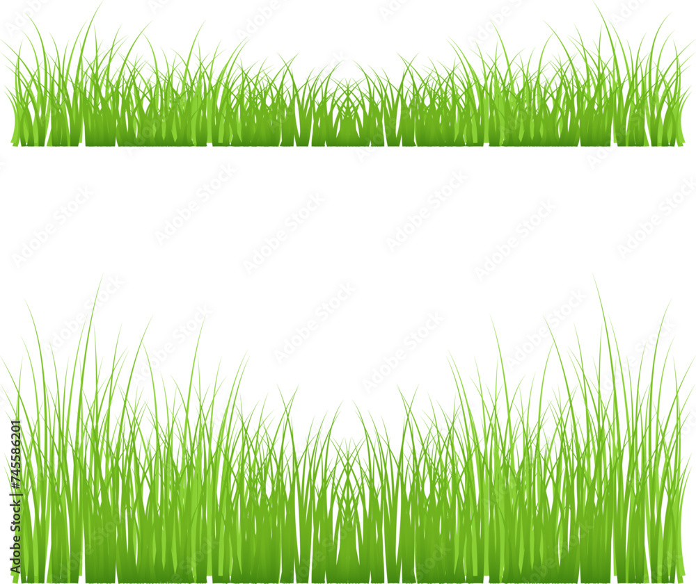 Fototapeta premium Green grass meadow border vector pattern. Spring summer plant field lawn. Grass background Vector illustration.