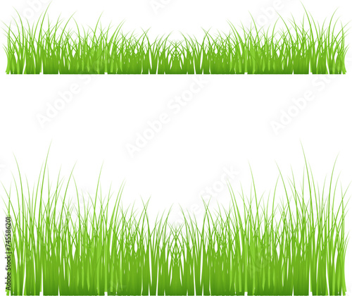 Green grass meadow border vector pattern. Spring summer plant field lawn. Grass background Vector illustration.