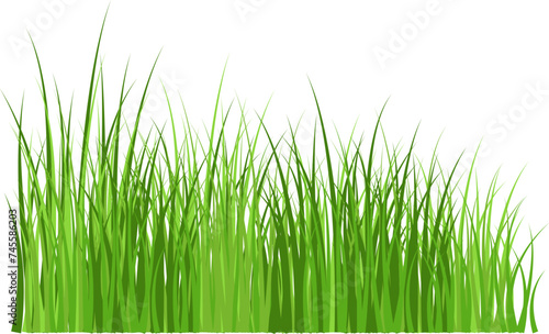 Green grass meadow border vector pattern. Spring summer plant field lawn. Grass background Vector illustration.