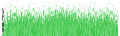 Green grass meadow border vector pattern. Spring summer plant field lawn. Grass background Vector illustration.